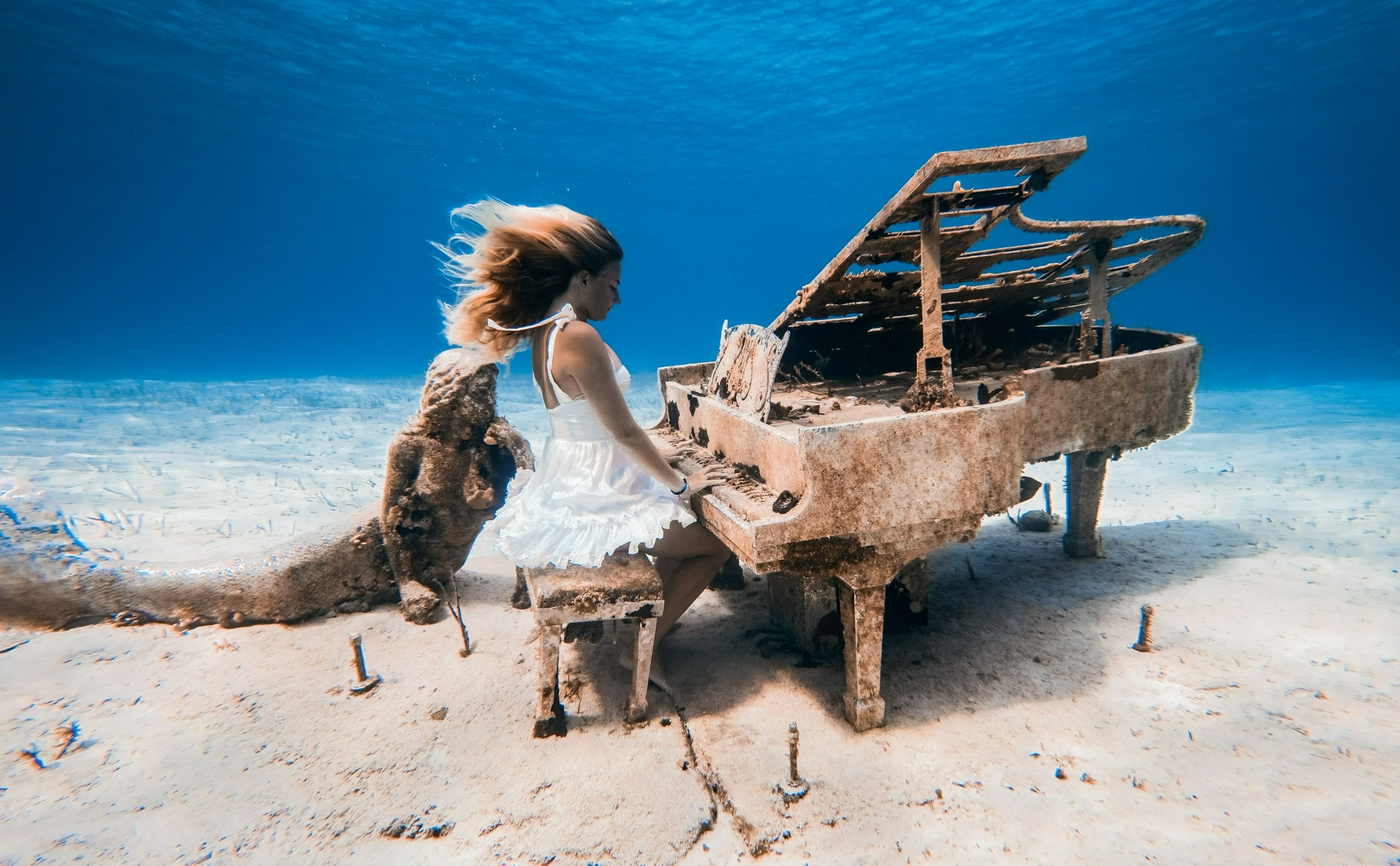 A woman in a white dress seated at a sunken grand piano on the ocean floor
